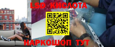 прущие крисы Краснодар