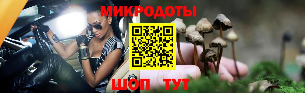 купить наркоту  Вход с VPN  Чехов  Галлюциногенные грибы Magic Shrooms  Псилоцибиновые грибы GOLDEN TEACHER 
